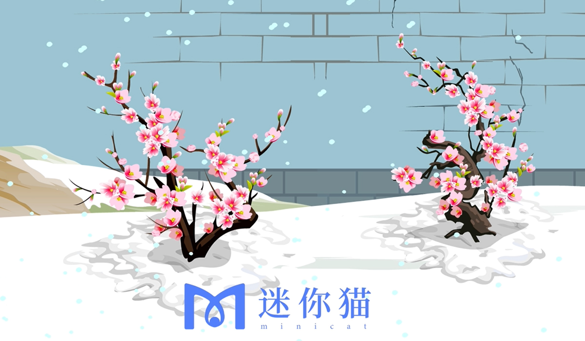 梅花MG动画